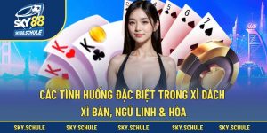 Các tình huống đặc biệt