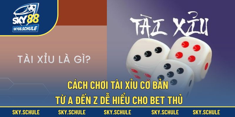 Cách Chơi Tài Xỉu