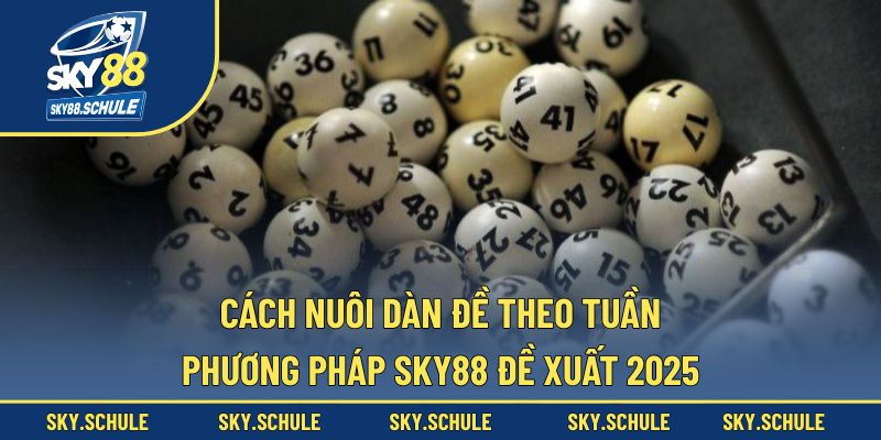 cách nuôi dàn đề theo tuần