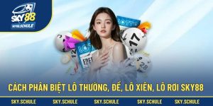 Cách Phân Biệt Lô Thường, Đề, Lô Xiên, Lô Rơi