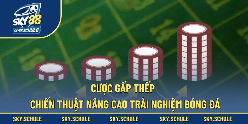 Cược gấp thép