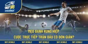 Mẹo đánh rung hiệp