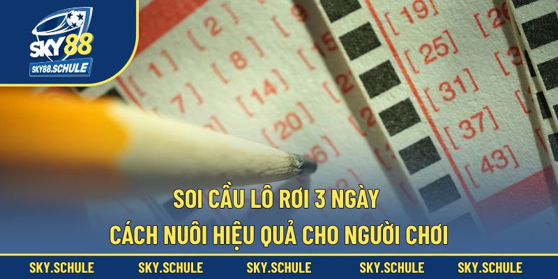 soi cầu lô rơi 3 ngày